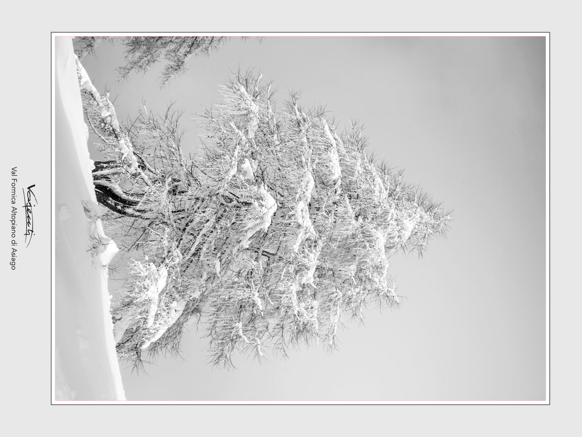 RACCOLTA FOTOGRAFIE MONTAGNE INNEVATE