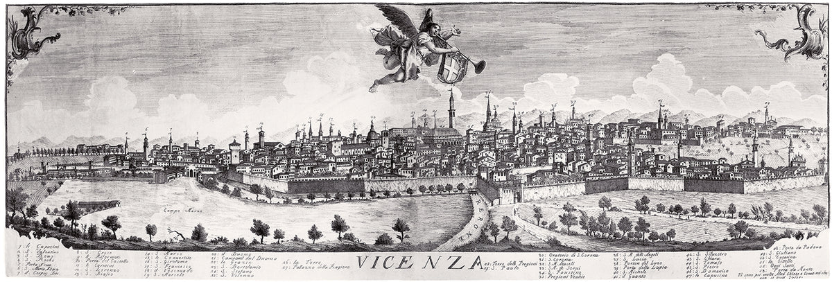 Panoramica della città di Vicenza
