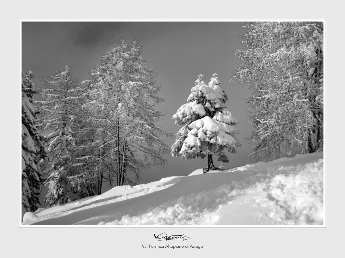 RACCOLTA FOTOGRAFIE MONTAGNE INNEVATE