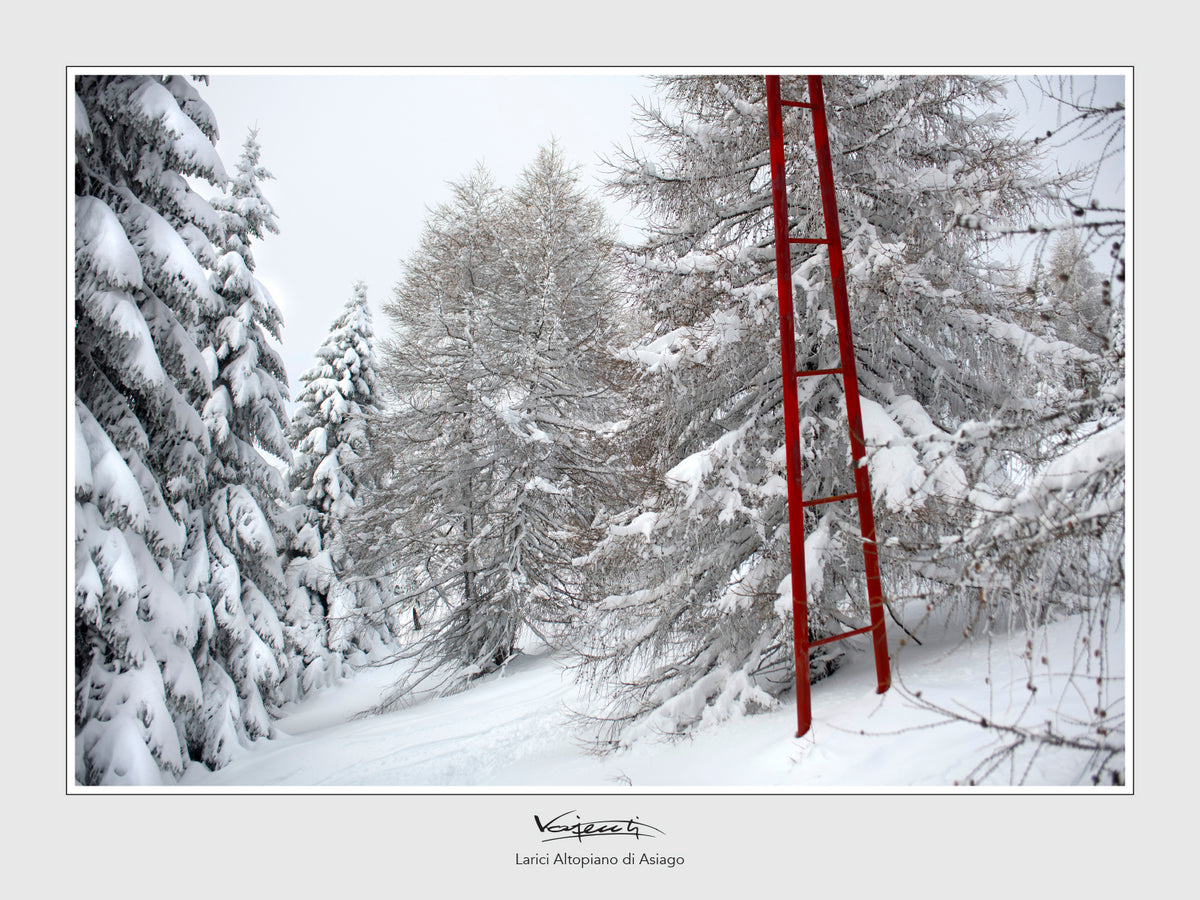 RACCOLTA FOTOGRAFIE MONTAGNE INNEVATE