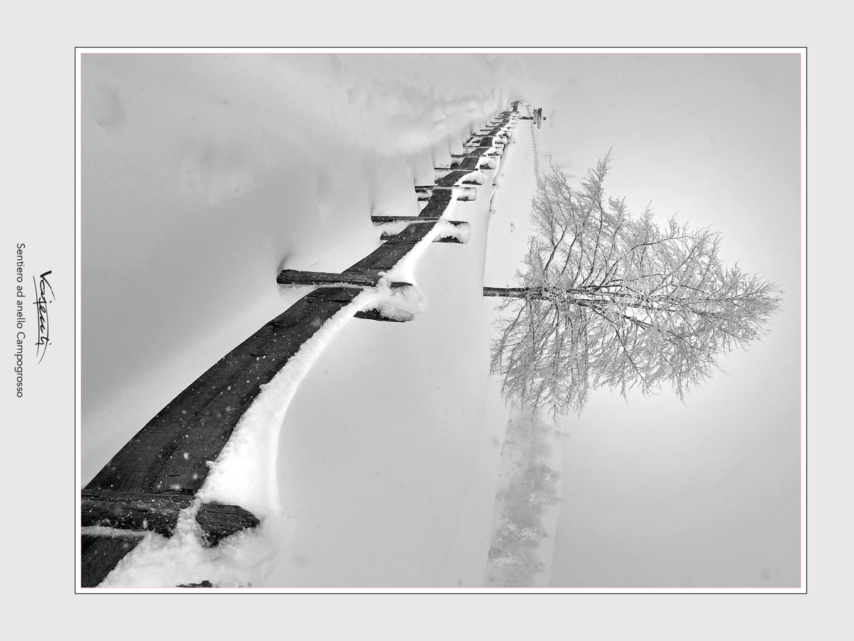 RACCOLTA FOTOGRAFIE MONTAGNE INNEVATE
