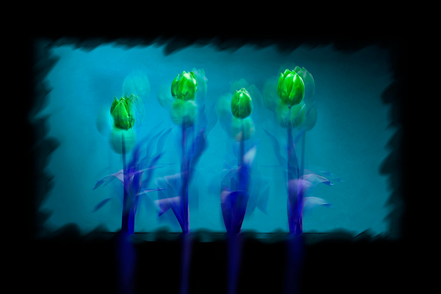 Tulipani verdi sfondo blu