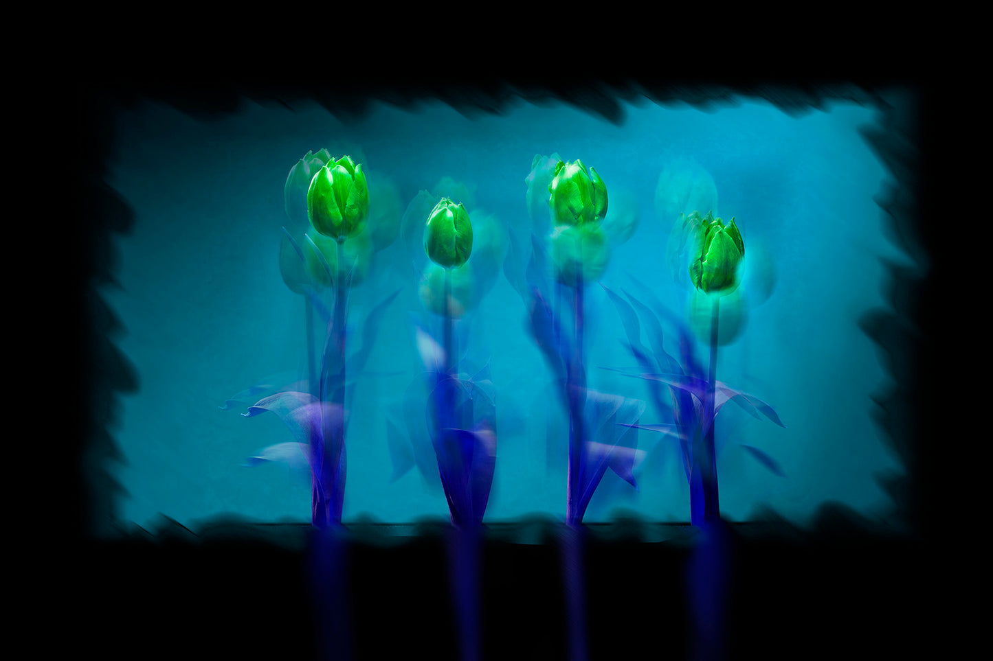 Tulipani verdi sfondo blu
