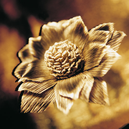 Fiore carta Beige