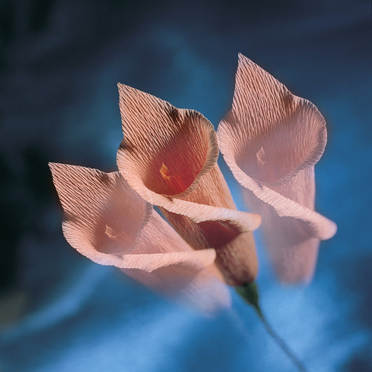 Fiore carta rosa
